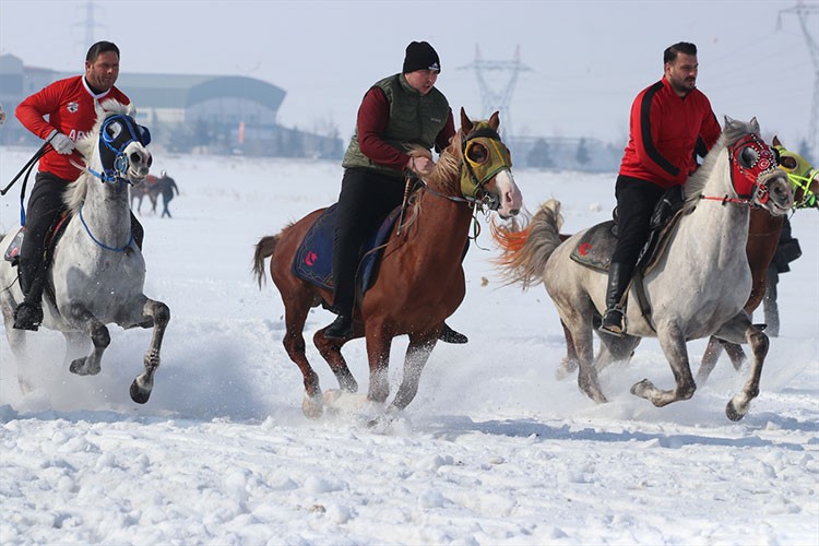 Erzurum'da atlar kar üstünde yarıştı