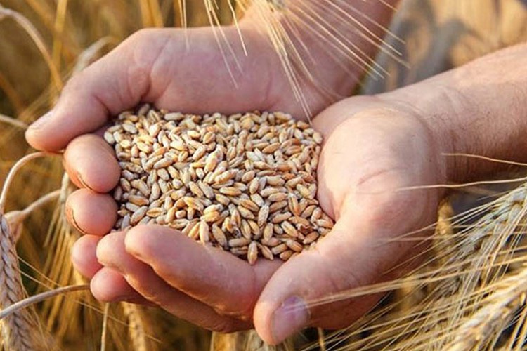 Gıda mamulleri sektörü Körfez pazarına yöneldi