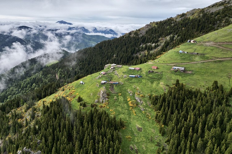 Ünlü Dereli, doğa tutkunlarını ağırlıyor