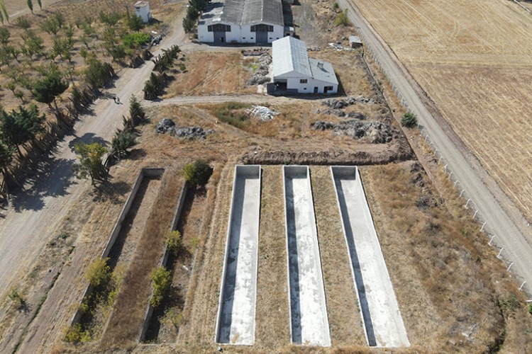 Çarklar kenevir işlemek için yeniden dönmeye başladı