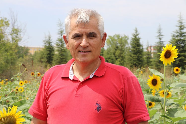 Kurak bölgelerde kanola ve aspir yetiştirilmesi önerisi