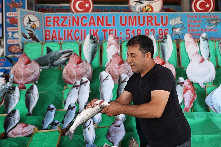 Balıklar tezgahtaki yerlerini almaya başladı
