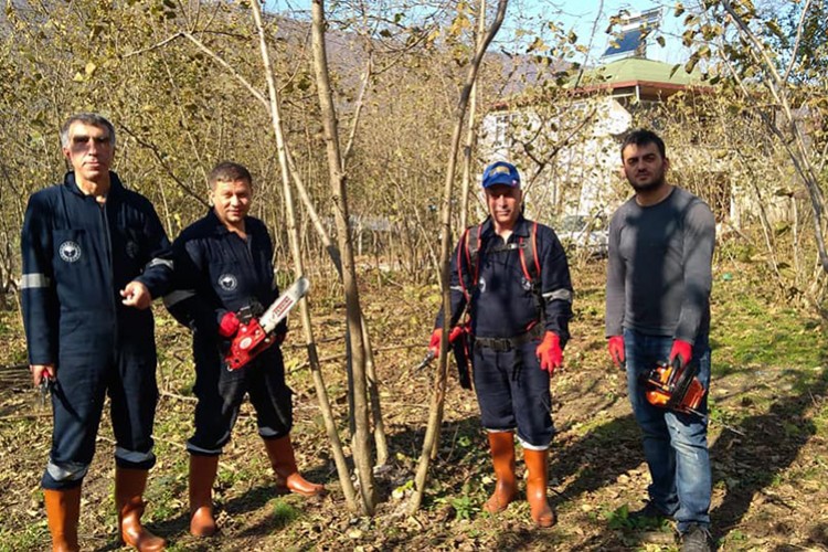 20 günde 400 örnek bahçe