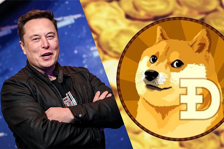 DOGE'nin ödeme verilerine yalnızca okuma erişimi olacak