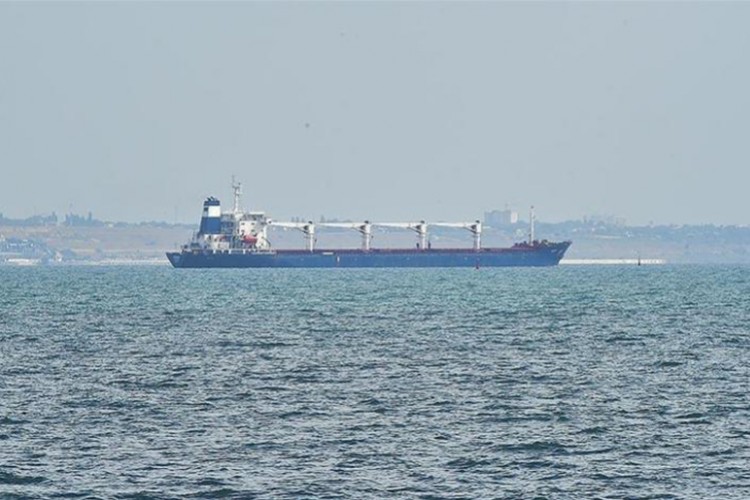 "Tahıl Koridoru'ndan geçen gemi sayısı 304'e çıktı"