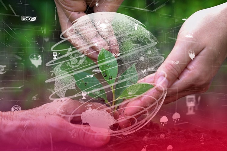 Yeşil Mutabakat birçok sektörde köklü değişim gerektiriyor