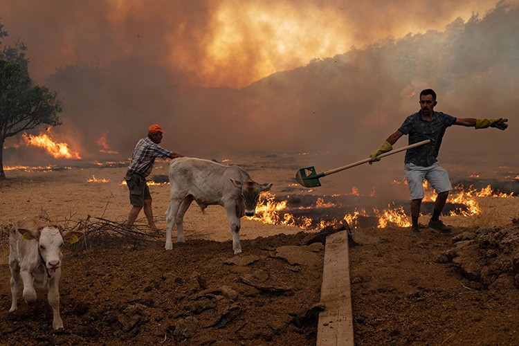 Türkiye'nin yeşil plana ihtiyacı var