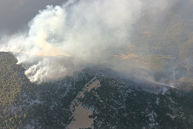 Antalya'nın Kaş ilçesinde orman yangını başladı