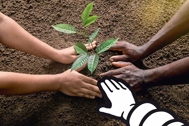 CO2'ye net sıfır taahhüdü