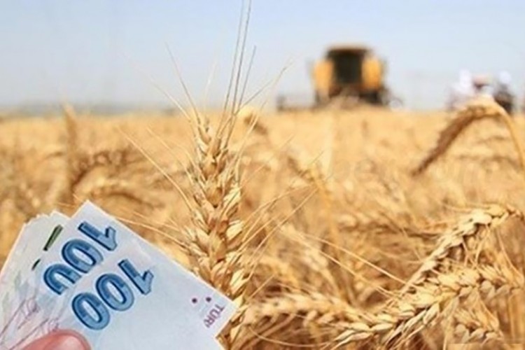 Destek ödemeleri yarın başlıyor