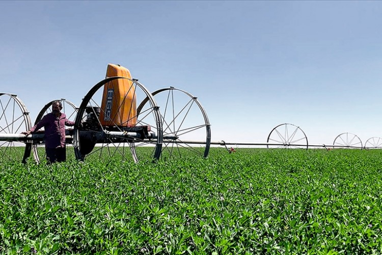 Kırsal Kalkınma Yatırımlarının Desteklenmesi Programı ile 11,4 milyar liralık yatırım yapıldı