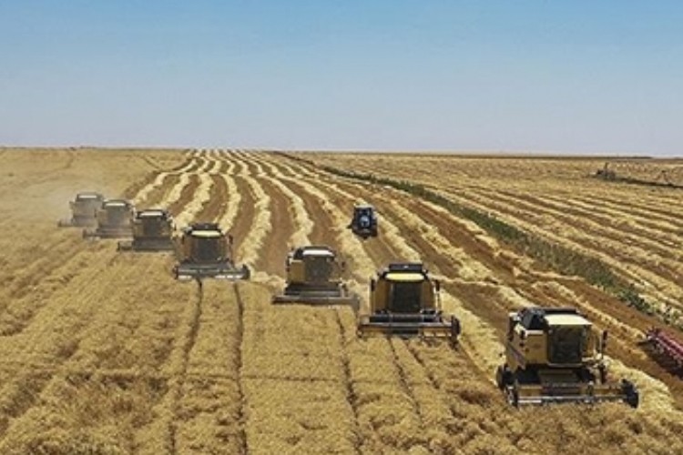 TARSİM'e taahhüt edilecek hasar fazlası desteğine ilişkin prim oranları belirlendi