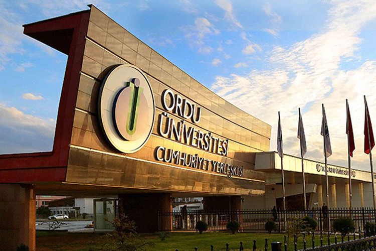 Akademisyen alınacak