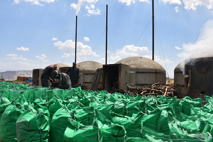 Şırnak mangal kömürüne Irak'tan da talep