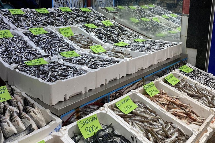 Ordu'da hamsinin kilogramı 120 ila 200 liradan satılıyor