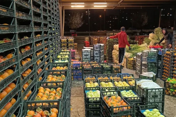 Fiyat farkını bitirecek tek reçete Hal Yasası
