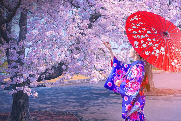 Japonya'ya unutulmaz bir yolculuk