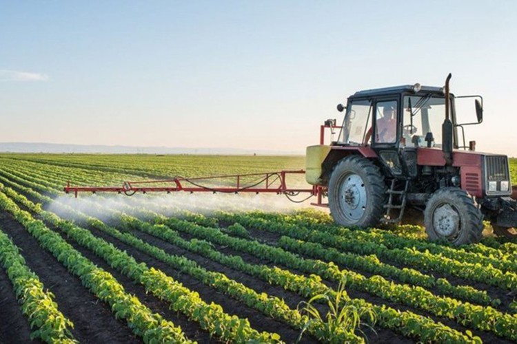 Tarım sektöründen en yüksek ocak-nisan ihracatı