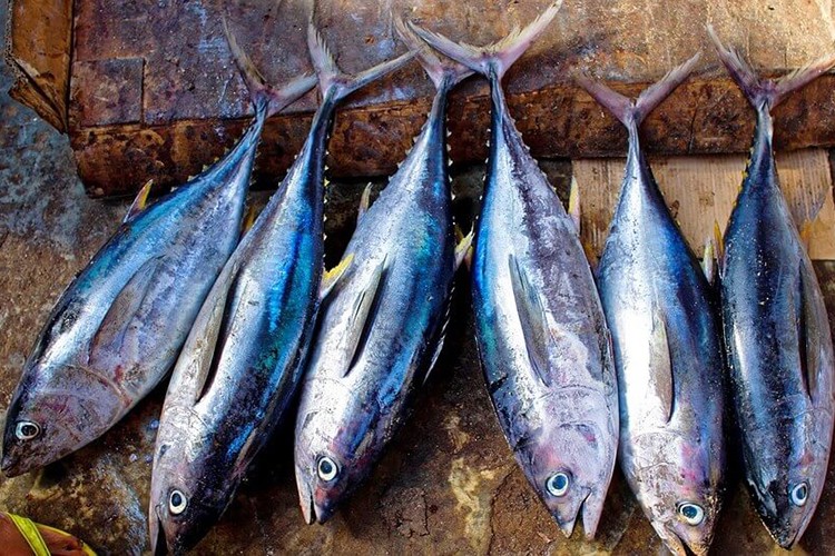 İhracat 100 milyona yaklaştı