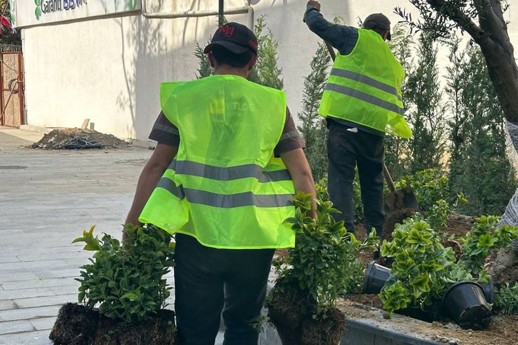 Kâğıthane Belediyesi ilçeye 60 bin ağaç kazandırdı