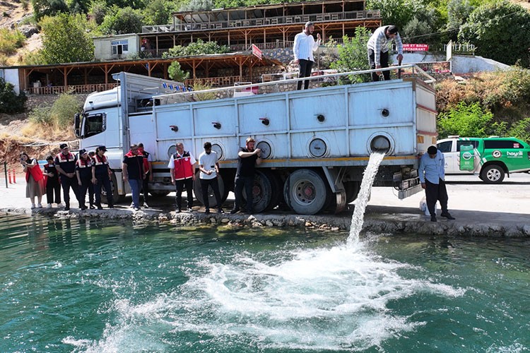 4 yılda barajlara ve göletlere 14 milyonu aşkın balık yavrusu bırakıldı