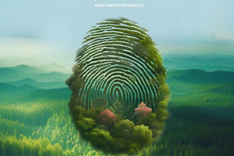 Sürdürülebilir gelecek için küresel adımlar