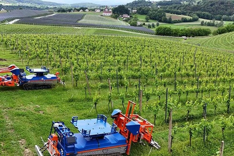 Tarımsal örgüt belgesinin geçerlilik süresi bir yıl olacak