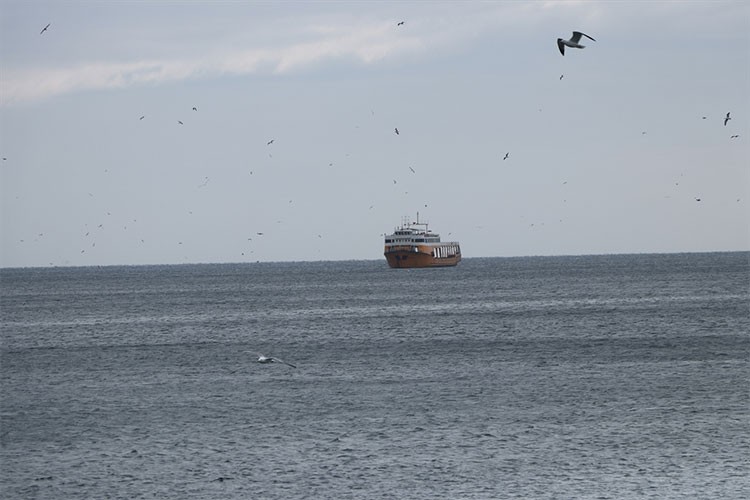 Tekirdağ'da poyraz 6 gündür deniz ulaşımını olumsuz etkiliyor