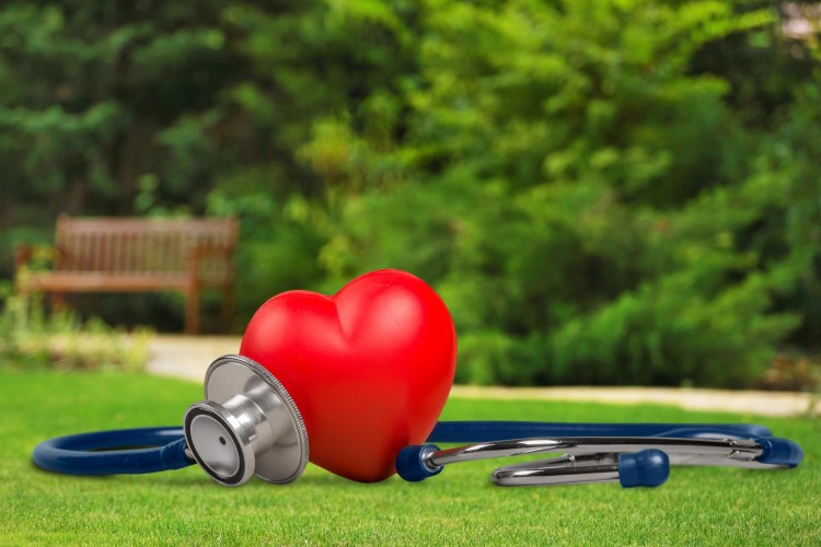 9 önemli kural ile sıcaklardan koruyun