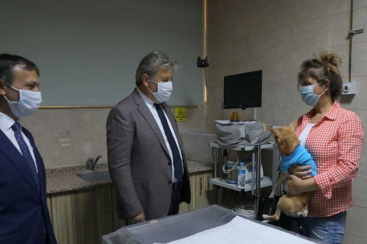 Sokak hayvanlarına yardımda belediye-üniversite işbirliği