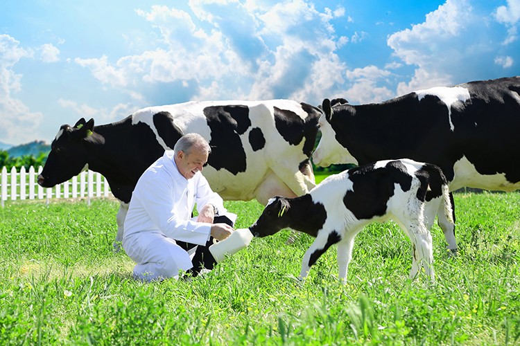 Yeşil Mutabakat'a uyumlu ve hazırız