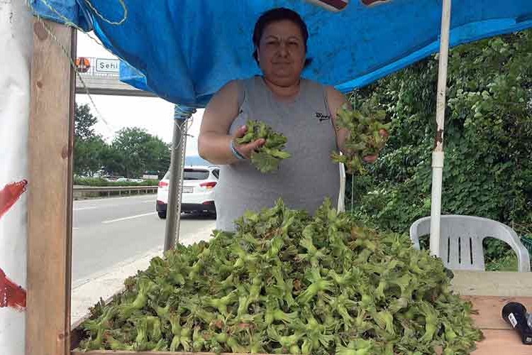 "3. Dünya Fındık Haftası" etkinlikleri iptal edildi