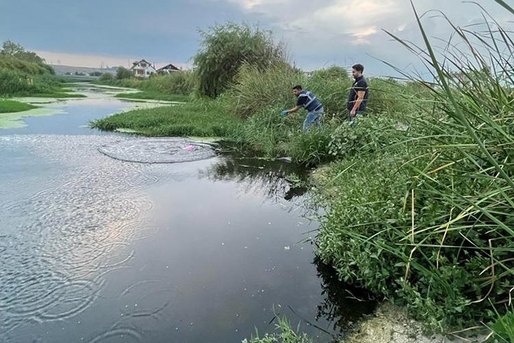 Tekirdağ Kınıklı deresindeki kirlilikle ilgili inceleme başladı
