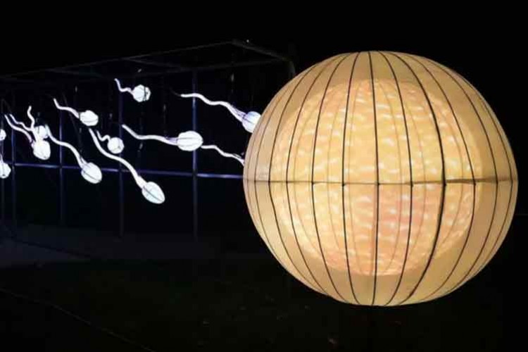 Sperm sayısını ve kalitesini neler etkiliyor?