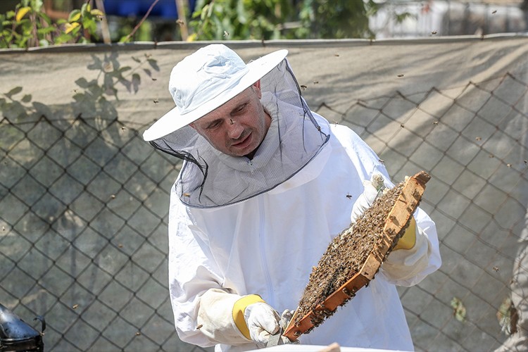 Ürettikleri arı sütünü yurdun dört bir yanına gönderiyor