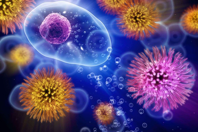 Yeni bir kriz yönetim modeli