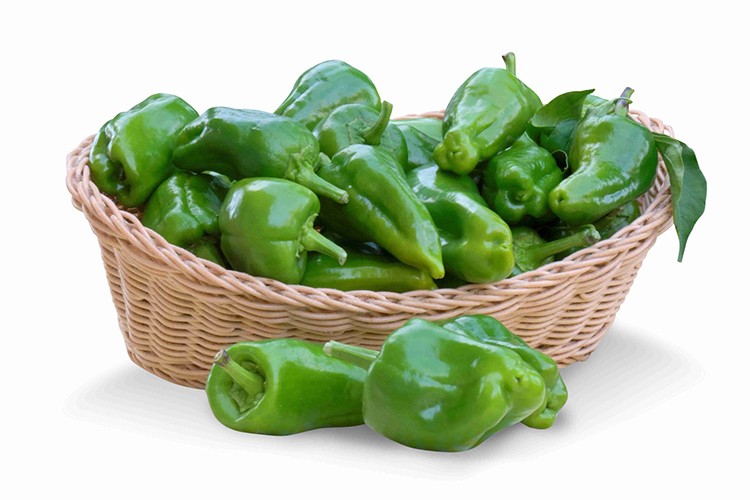 Kırşehirli çiftçilerden Avrupa'ya Cemele biberi