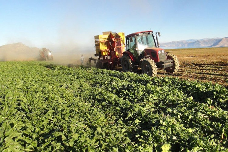 Tarım ÜFE %2.58 arttı