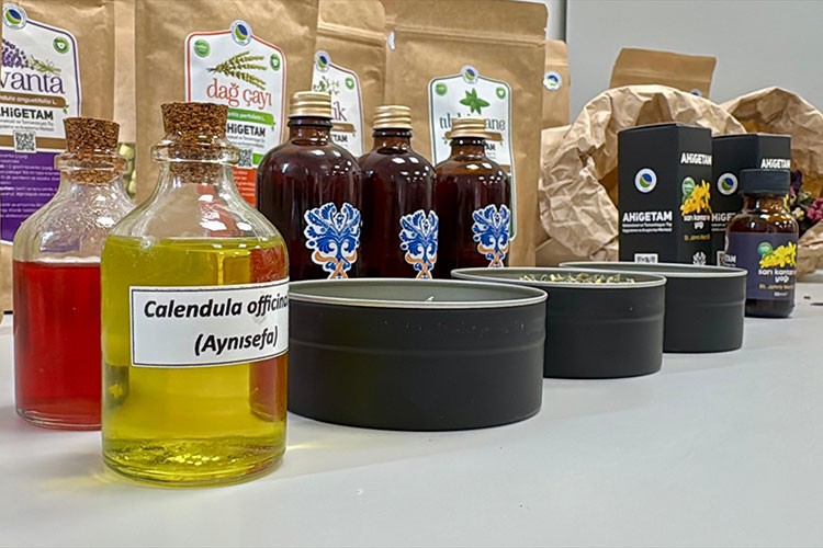 Tıbbi aromatik bitkiler işlenerek katma değerli ürünler elde edilecek