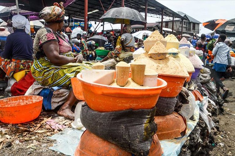 Yaklaşık 193 milyon insan akut gıda güvensizliği yaşıyor