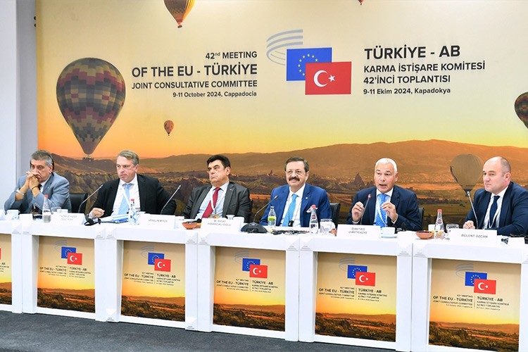 AB'ye vize ve kota çağrısı