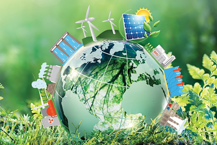 Şirketlerin çevresel sürdürülebilirlik çalışmaları önemli