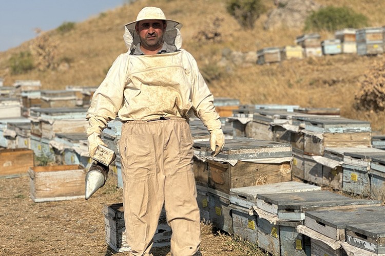 2 bin 47 rakımlı yaylada arıcılık yapıyor