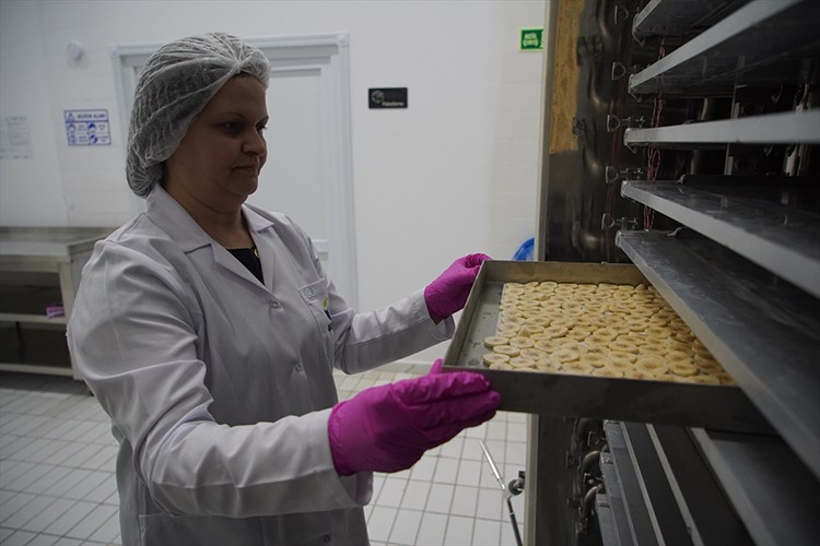 Dondurarak kuruttukları meyveleri ihraç ediyorlar