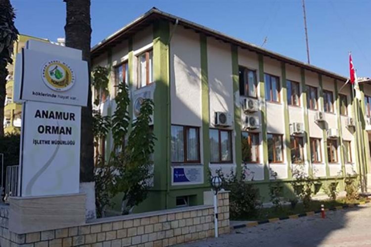 Orman yolları onarılacak