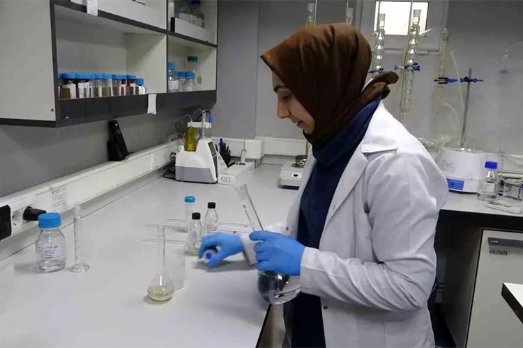 Malatya'nın kayısı ihracatında dev başarı