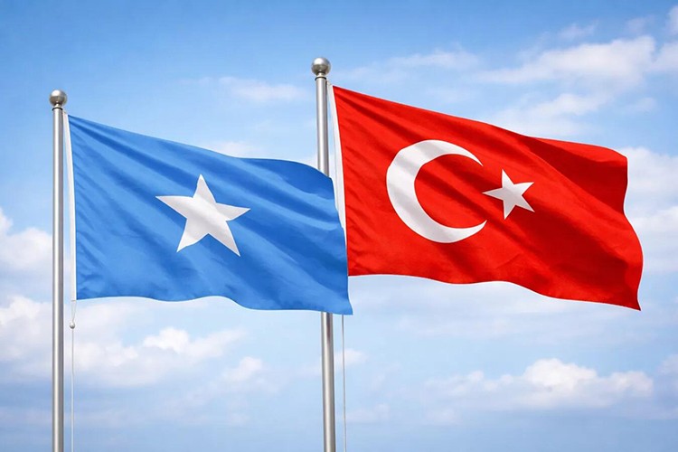 Somali'den Türkiye'ye kritik maden daveti