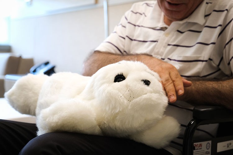 Bilişsel bozuklukların tedavisine destek oluyor