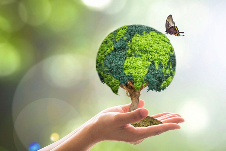 G7 "yeşil dönüşüm"e finansman sağlayacak