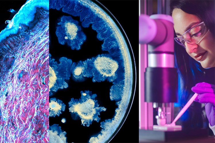 L'Oréal ve Institut Pasteur'den cilt sağlığı biliminde tarihi iş birliği